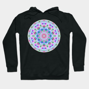 Inner Clarity Hoodie